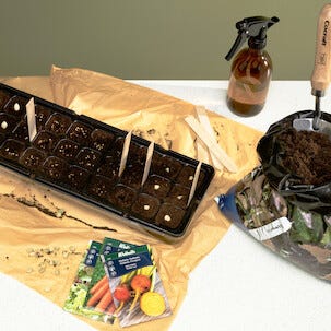 Plantetiketter trä, 30-pack