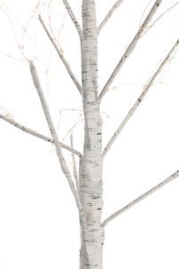 Valopuu ulos / sisälle, Northlight