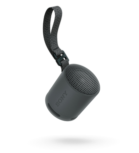 Sony SRS-XB100 Bluetooth-högtalare, vattentät