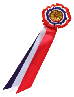 17. mai sløyfe med rosett, 22 cm