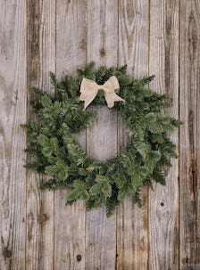 Ovikranssi kuusenhavu