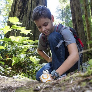 Sphero BB-8 + Force Band fjernstyrt robot