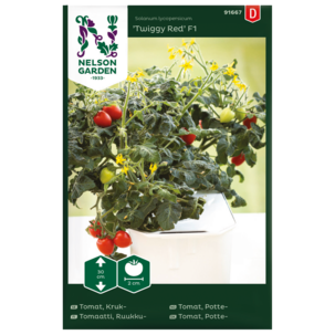 Nelson Garden Twiggy Red F1 körsbärstomat frö, röd