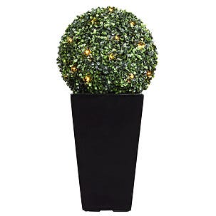 Buxbomboll med LED-belysning