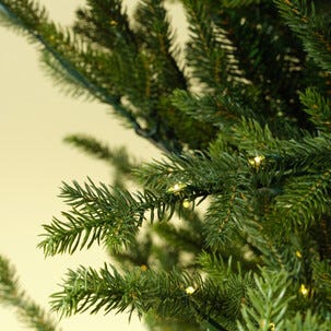 Julgran Vinterdal 210 cm, dimbar LED-belysning, timer