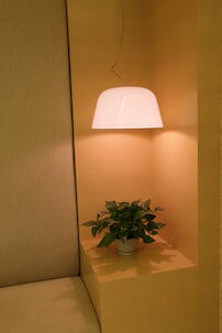 Växtlampa LED