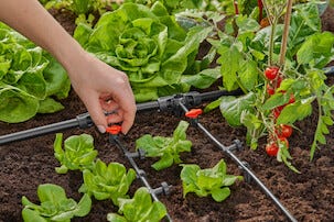 Gardena reguleringsventil på 4,6 mm, 3/16 tomme, 2-pakning