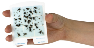 DynaTrap limark till flugfångare, 6-pack