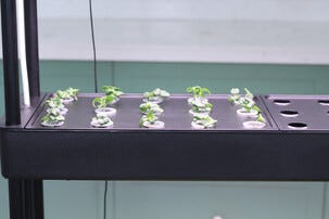 Sett for hydroponisk dyrking med 90 plugger, 3 etasjer