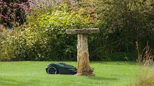 Bosch Indego M+ 700 robotgräsklippare med slinga, 700 m2