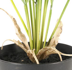 Kunstig palme, 64 cm