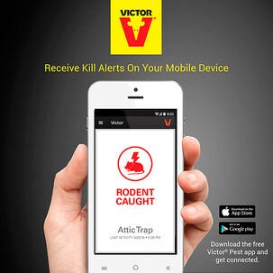 Victor Smart-Kill, WiFi elektrisk musefelle