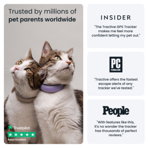 Tractive Cat 6 Mini GPS tracker för katt