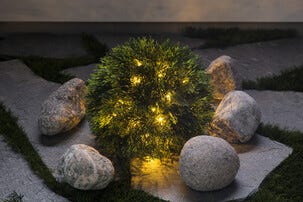 Northlight Thuja-ball 33 cm