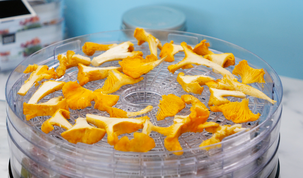 Svamptork / frukttork 5 nivåer