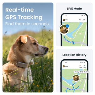 Tractive Dog 6 GPS-tracker for hund