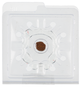 Sokeritoukka-ansa syötti ja liima, 2 kpl