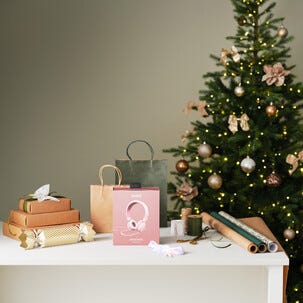 Gavepose med håndtak, 6-pakning