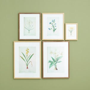 Fotoram trä FSC 40x50 cm