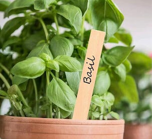 Plantetiketter trä, 30-pack