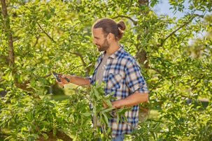 Gardena PremiumCut Pro Flex hagesaks med sideskjær