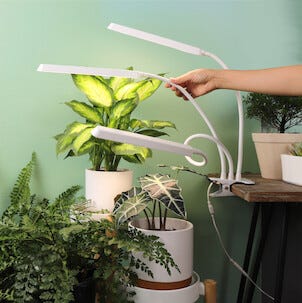 Kasvivalo LED 3 vartta ja nipistin