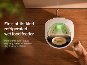 Petlibro Polar våtfoderautomat med kylning, WiFi