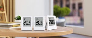 Digital termometer inomhus, 3-pack