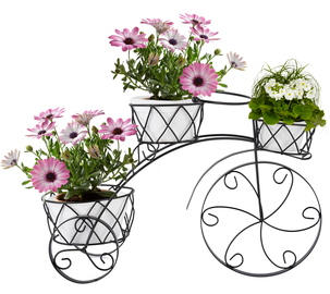 Kukkaruukut ja polkupyörä