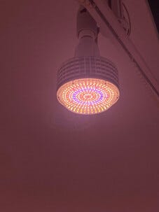 LED-kasvivalo E27 täysi spektri, kasvilamppu, 60 W
