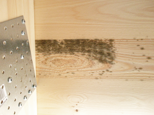 Jape MögelFri Direkt rengöringsmedel, 0,5 liter