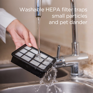 CO 800 dammsugare med HEPA-filter, beige, 800 W