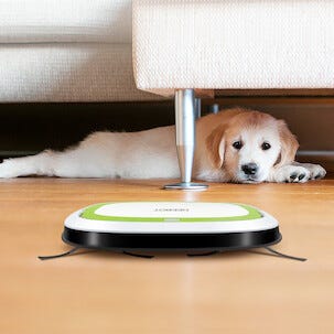 Robotti-imuri Ecovacs Deebot Slim