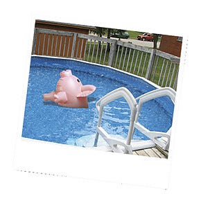 Familjespel Kasta Gris, Jumbo