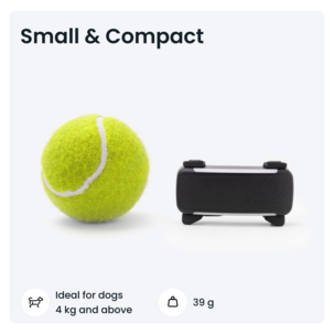 Tractive Dog 6 GPS-tracker for hund