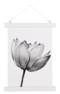 Julistelista valkoinen, 24 cm