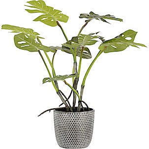 Potteskjuler, mørk grå med prikker