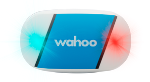 Pulsband Wahoo Tickr