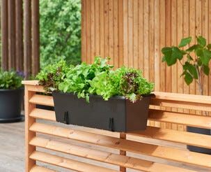 Orthex Botanica balkongkasse hengende, svart, 60 cm