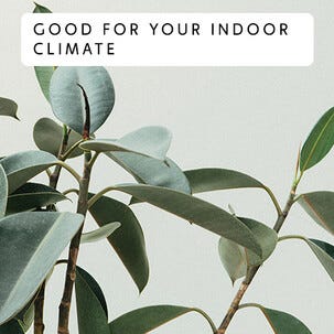 Lämpöpatteri jossa WiFi Mill NE800LWIFI 800 W 230 V