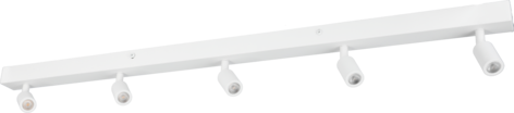Northlight Leon taklampa med 5 spotlights, 80 cm