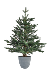 Liten julgran Lyckeby 90 cm med micro LED-belysning