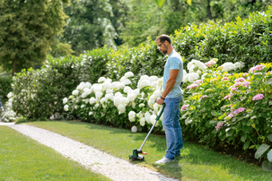 Bosch grästrimmer UniversalGrassCut 18V-26, batteridriven