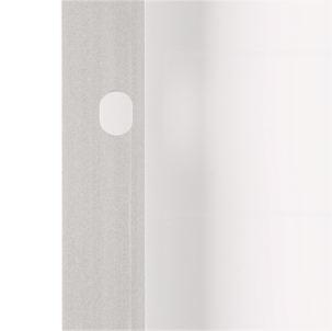 Solpanel 100 W