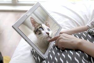 Surfplatta Lenovo Tab 2 A10-70 10,1