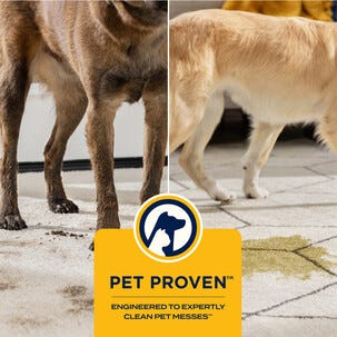 Bissell SpotClean C9 Select flekkfjerner, 3989N