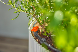 Gardena bevattning startset för balkong