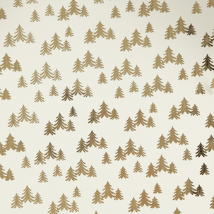 Lahjapaperi premium 70 cm x 3 m, 2 kpl