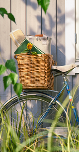 Cykelkorg flätad, Asaklitt