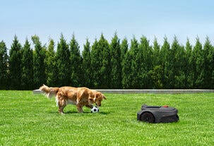 MOVA ViAX AI robotgräsklippare utan slinga, 300 m2